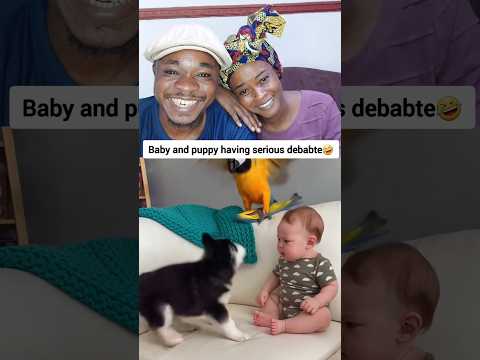 Baby and puppy having serious arguments 🤣🤣🤣 #ukreels #reelsviral #usareels #comedy #funny