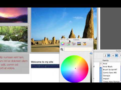 iLife 09: iWeb 09 -  The Basics