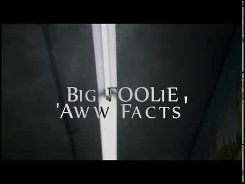 Hot Boy Foolie - Big FOOLiE 'Aww Facts" | Dir. @_shotbyt_