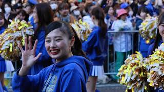 ベイスターズ優勝パレード　先頭のDiana登場シーン　🥇#横浜denaベイスターズ #横浜優勝　#cheerleader