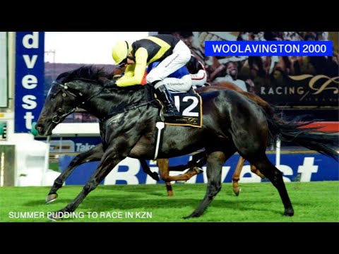 SUMMER PUDDING TO LINE-UP IN THE WOOLAVINGTON 2000