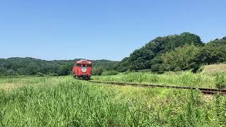 小湊鉄道　キハ40 サロベツヘッドマーク　①