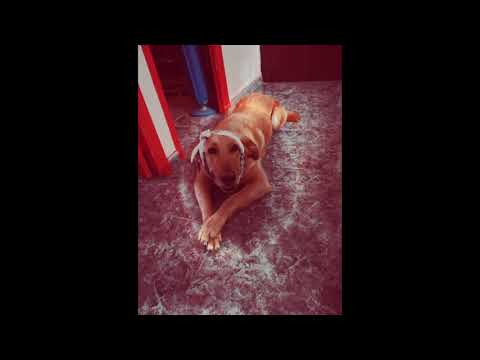 Yosë Flores - Tós de marca [Prod. RotterBeats]