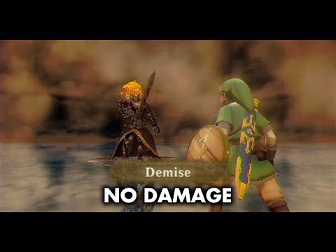 The Legend of Zelda: Skyward Sword / Final Boss: Demise (No Damage)
