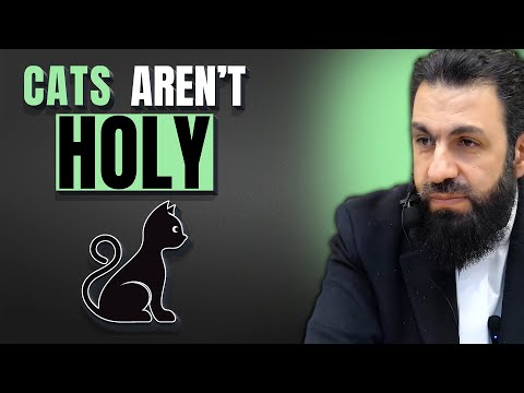 Why Cats Are Not Holy In Islam? | Belal Assaad