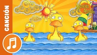 Al agua pato - Atención Atención