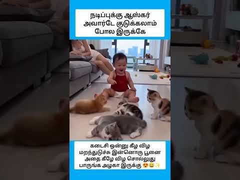 நடிப்புக்கு ஆஸ்கர் அவார்டே குடுக்கலாம் போல இருக்கே #shorts