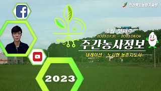 [ 주간농사정보 ] 8월 1째주 (2023. 07. 31. ~ 08. 06.)
