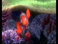 Finding Nemo