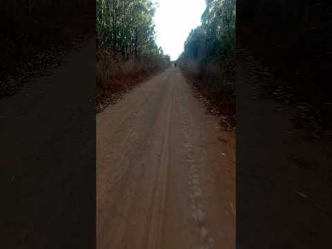 Pedalando de Curvelo para Morro da Garça.