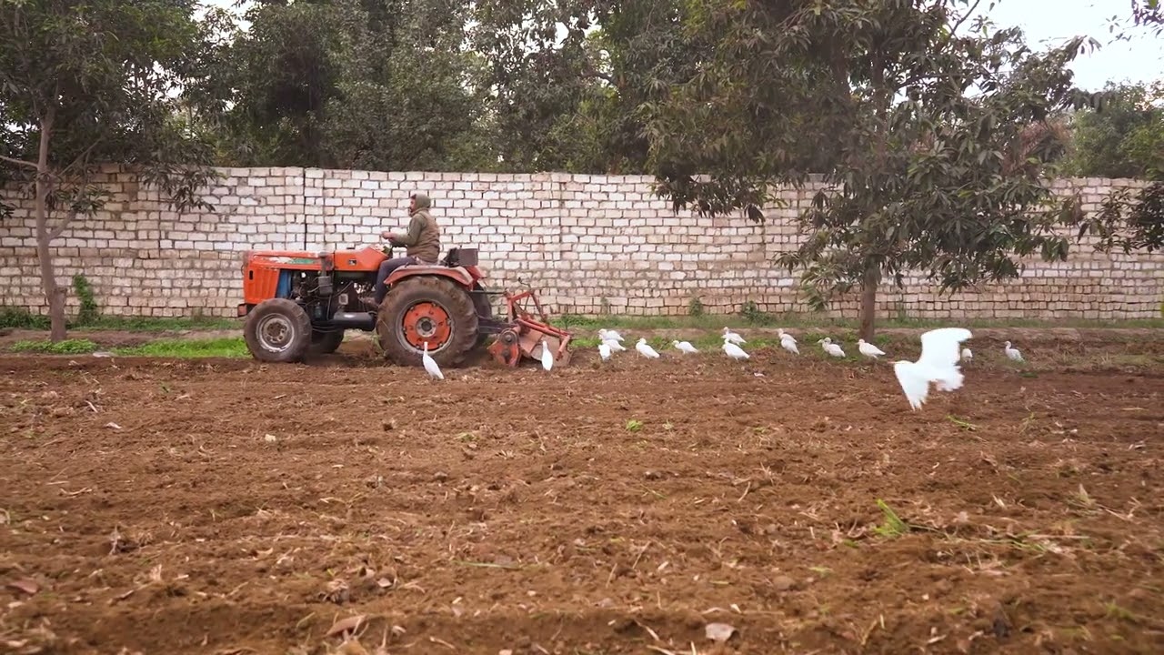 Soil repair Stock Footage | Royalty Free | Free 4K Videos - no copyright