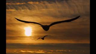 Lovers in the Wind    Roger Hodgson