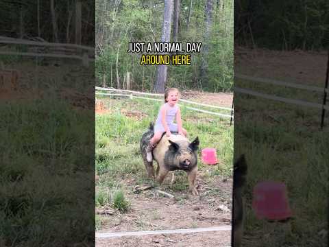 Just Another Normal Day on the Farm with Baby 🌾😂 #farmlife #farmbaby #countrykids #shorts