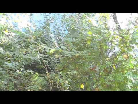 studio zeilsheim sarra