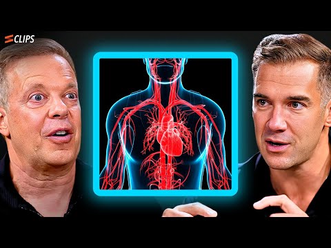 Dr Joe Dispenza Explains “Heart Coherence”