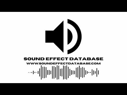 Military Base Security Breach Alarm Sound Effect