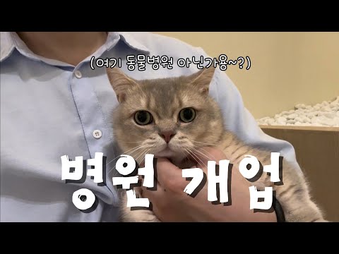 냥튜브 최대 제작비가 들어간 영상..