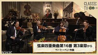 Download lagu 【クラシックTV】巨匠 徳永二男 率いるカルテット演奏／「弦楽四重奏曲第16番 第3楽章から」ベートーベン作曲 | NHK mp3