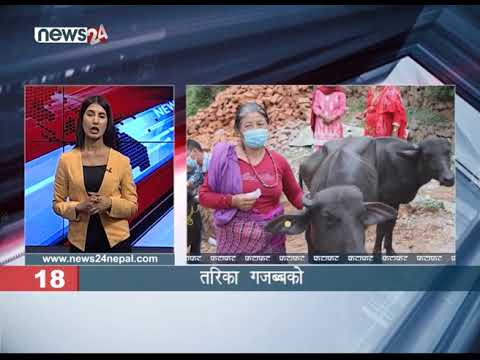 AFTERNOON NEWS FATAFAT - NEWS24 TV