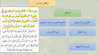 صورة 07نواقض الوضوء من شرح عمدة الفقه   عامر بهجت