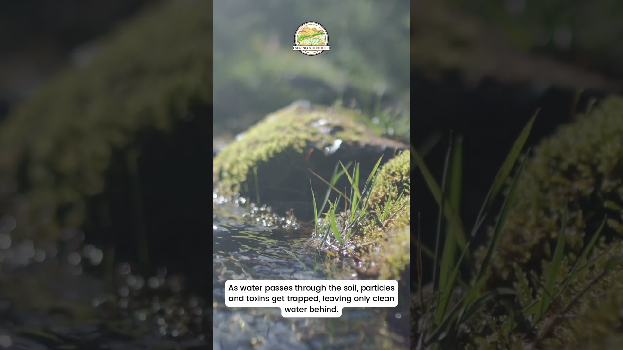Spring Scientific: How Soil Filters Water & Protects Groundwater | Nature’s Water Purifier 💧🌱