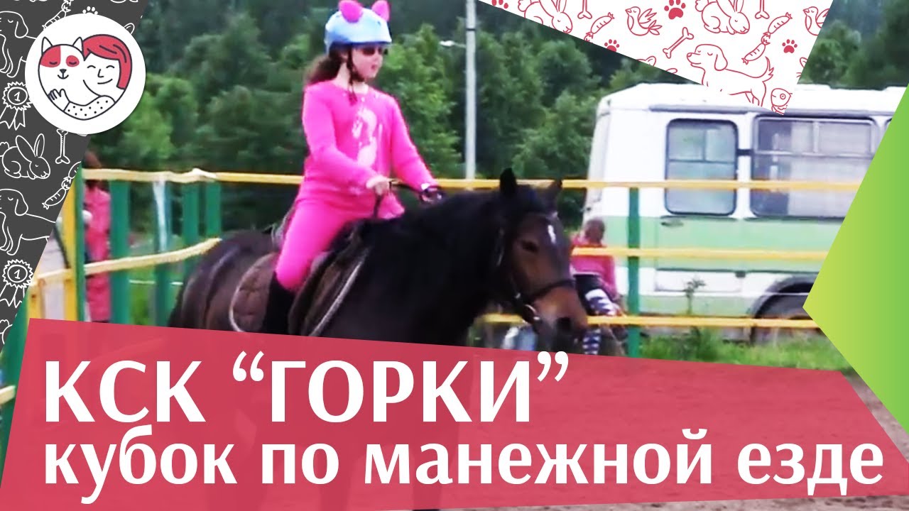 Летний кубок КСК Горки по манежной езде КЮР часть 18 на ilikepet