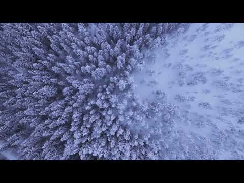 Theme from Nicholas & Alexandra ... Ferrante & Teicher