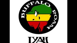 Buffalo Roam