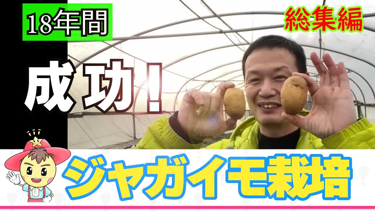 自然栽培でジャガイモ収穫量を倍にする技術