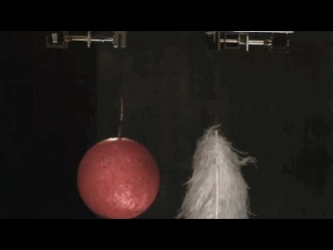 Dynamics 149: Weight I. Acceleration of gravity and weight.