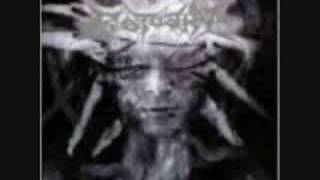 Estuary - To Exist/Soul Scarred Captives