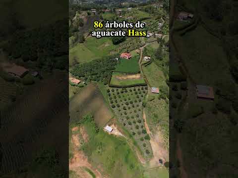 Lotes en Venta en Antioquia | Lote 5.000 m² en San Vicente Ferrer | Oriente Antioqueño