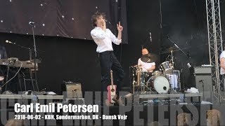 Carl Emil Petersen - Dansk Vejr - 2018-06-02 - København Søndermarken, DK
