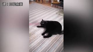 [問卦] 穿黑袍的都會星爆嗎