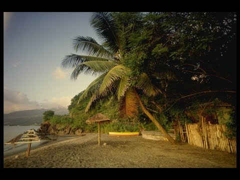 Mana Cerească Zilnică: 28 NOIEMBRIE