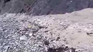 Leave Only Your Footprints