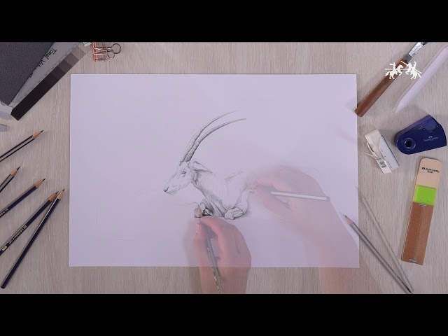 طقم الوان باستيل خشبية جرافيت سكيتش فابنر كاستل