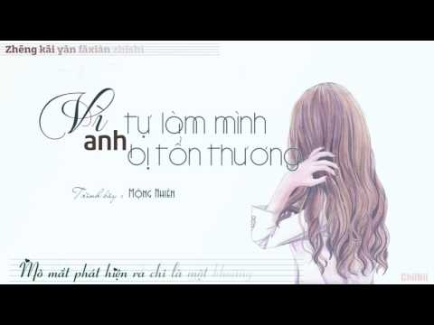 [Vietsub+Pinyin] Vì anh tự làm mình bị tổn thương -Mộng Nhiên 夢然 - 為你傷自己的心