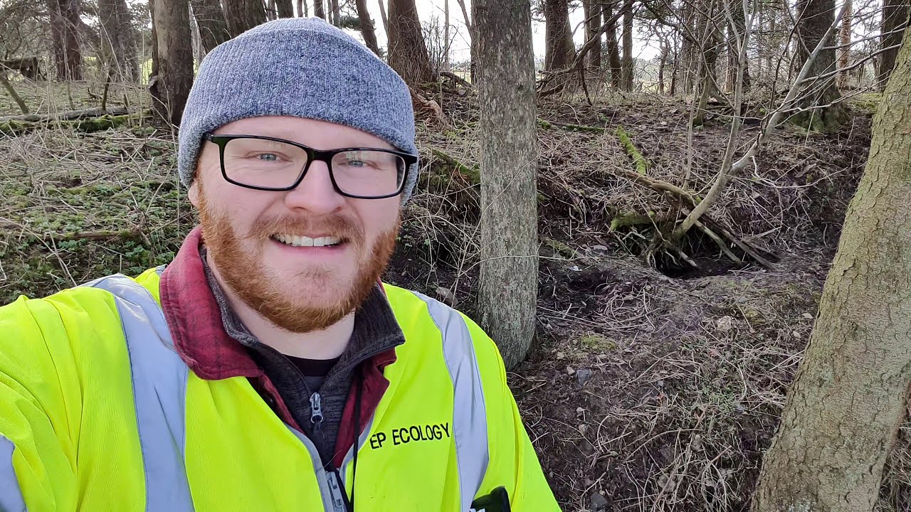 EP Ecology: Badger Surveys