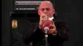 Scott Steen on trumpet  at Gaildorf Blues Festival