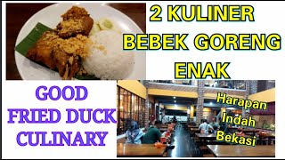 Download lagu 2 GOOD FRIED DUCK CULINARY IS ADDICTING IN HARAPAN INDAH BEKASI CITY|FOOD REVIEW|GOOD CHEAP CULINARY mp3