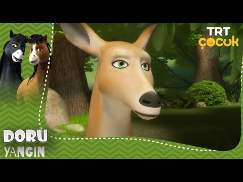 Doru | Yangın | 14.Bölüm