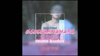 Download lagu GADIS MINAHASA - REMIX TIKTOK (18MUSICREMIX) TSstudio 2021 mp3