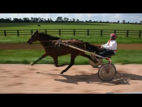 Funny Life - lot 23 vente Osarus Louis Baudron 2017