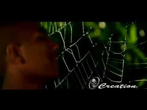 Urban Rhymes (Sean Rii X Mi Santana X Jahboy X Ozlam) - Mi Gat Laek Lo Yu🎶 [[Native Png]]👑🇵🇬