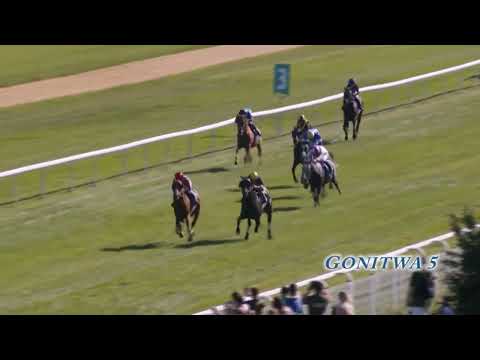 Partynice 10.09.2023 - (Dzień 9)