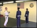 Joyce Manor Catalina Fight Song