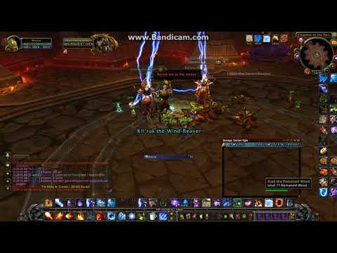 Paragons of the klaxxi bug