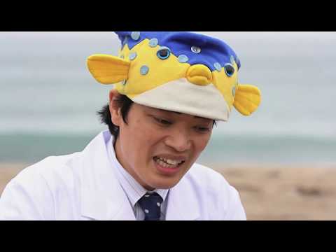 海洋電子機械工学科 東京海洋大学Scientist Profile さかなクン
