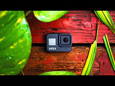 How To Get THE MOST Out Of Your GOPRO (In-Depth Tutorial)